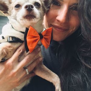 Meet your Posher, Kitty